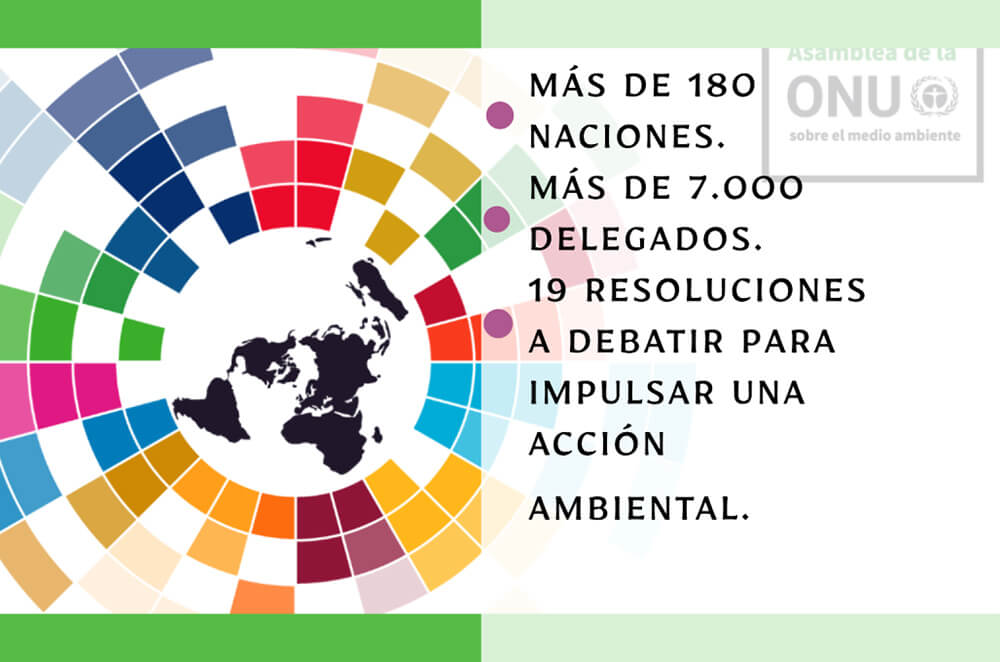 UNEA 6: 15 resolutions and a victory for multilateral efforts