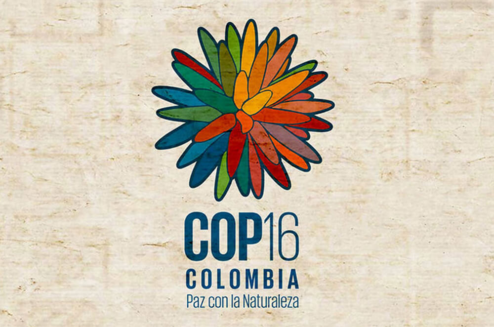 COP16: A New Call for Harmony Amongst Ourselves and with Nature