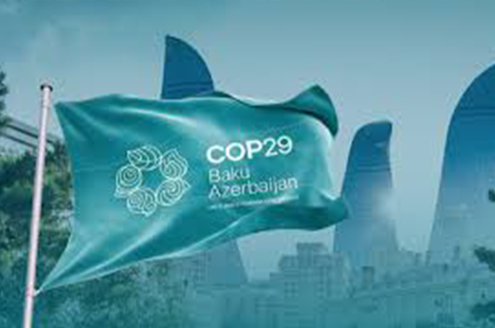 COP29: Progress, Challenges, and Future Pathways