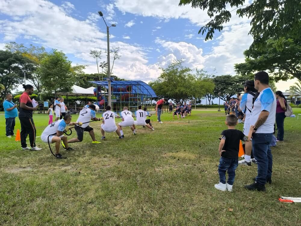 DESARROLLO DE TALENTO MOLPACK