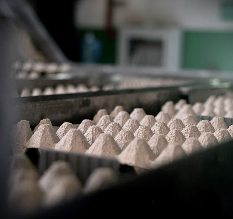 Somos el proveedor líder de soluciones de empaque de pulpa moldeada