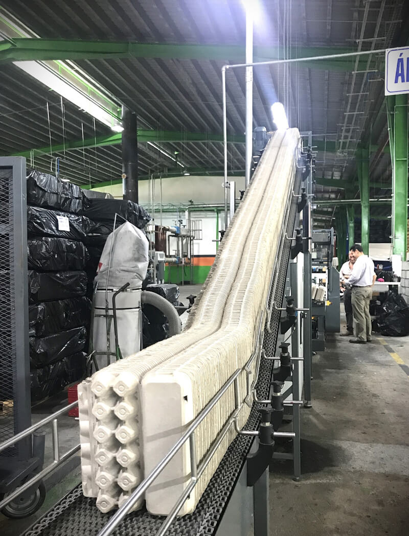 Somos el proveedor líder de soluciones de empaque de pulpa moldeada