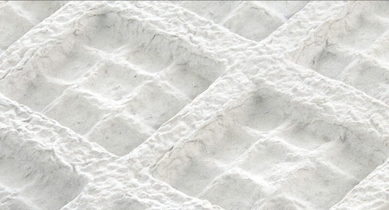 Somos el proveedor líder de soluciones de empaque de pulpa moldeada