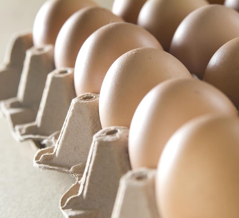 comprometidos con un futuro más verde para el planeta