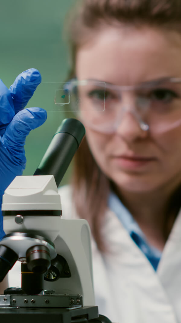 Líderes en empaques sostenibles