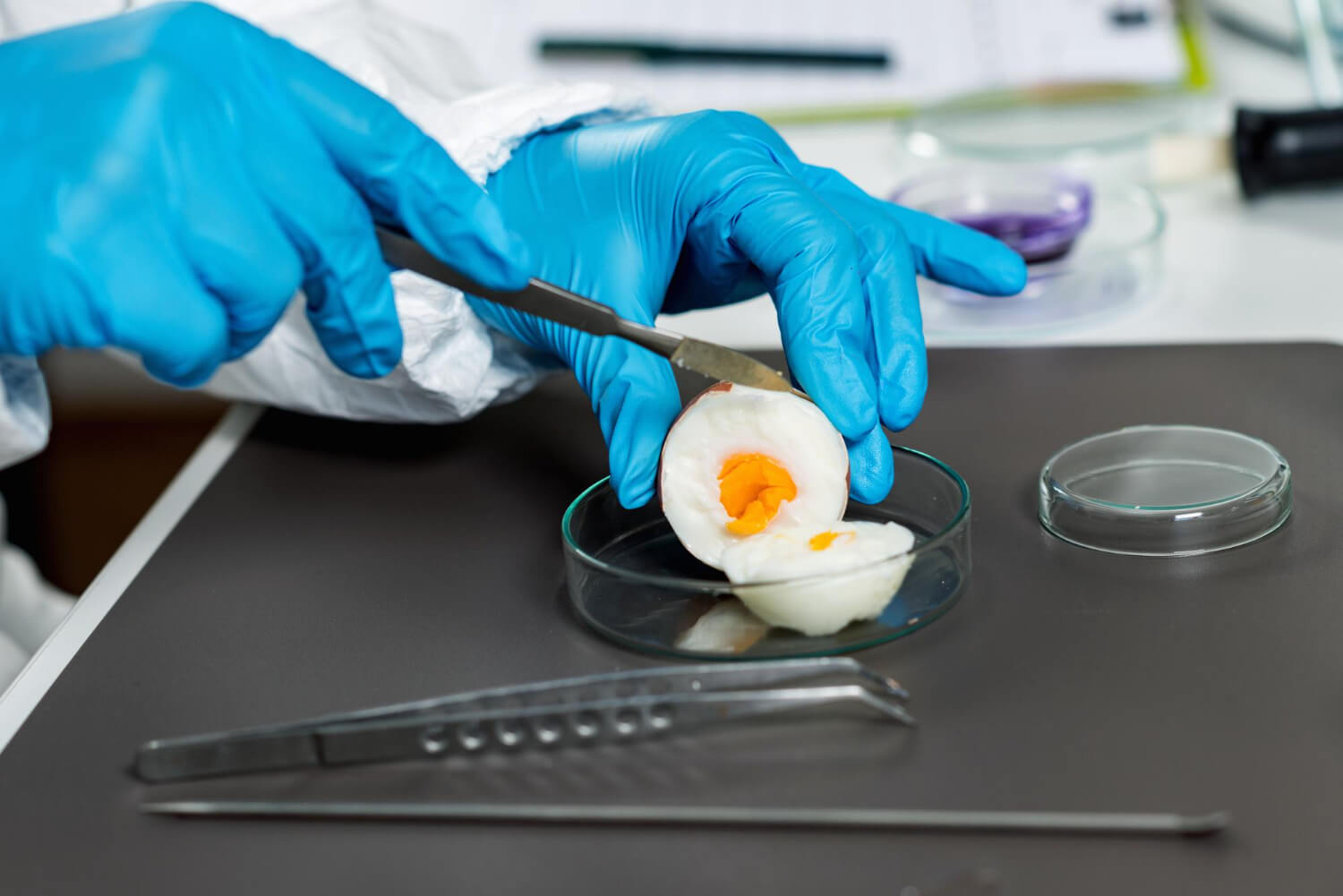 La biología de la cáscara